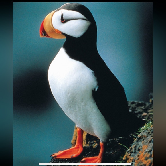 47. rag & bone Nina High-Rise Ankle Cigarette Jeans in Calypso, Size 24 - Picture 17 of 17